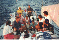 malta96_01l.gif (11380 Byte)